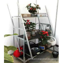 Multi Layers Flower Trolley/Cart